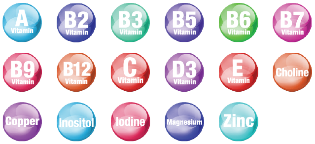 Multivitamin + Minerals